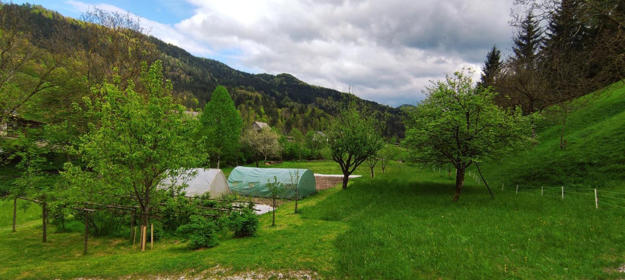 Domacija Markc Zelezniki Exteriér fotografie