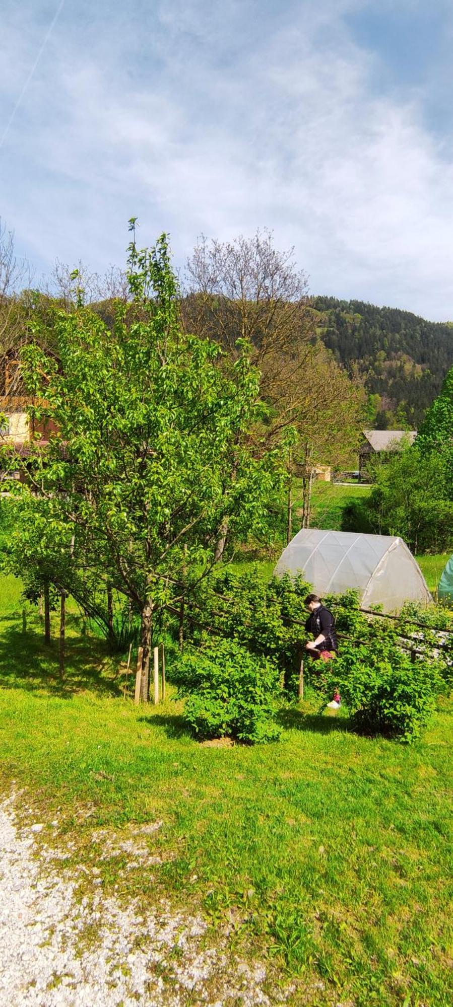 Domacija Markc Zelezniki Exteriér fotografie